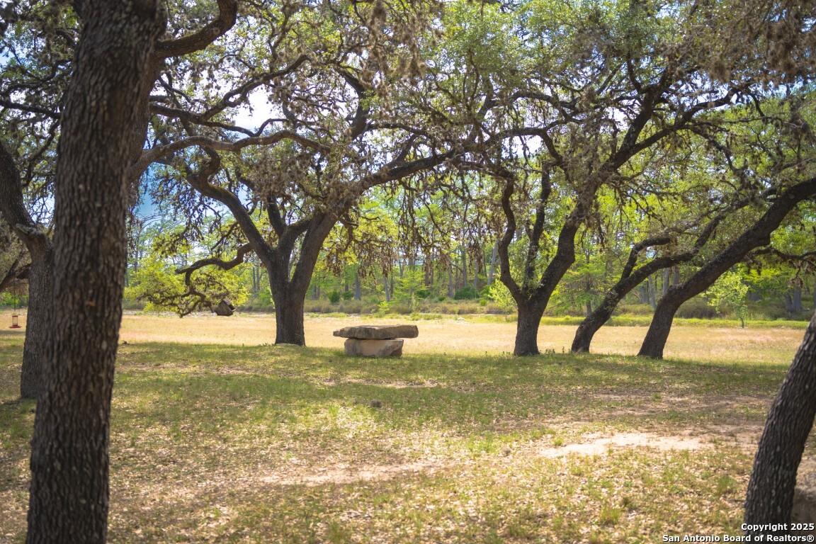 950 River Road, Utopia, TX 78884 — photo 3