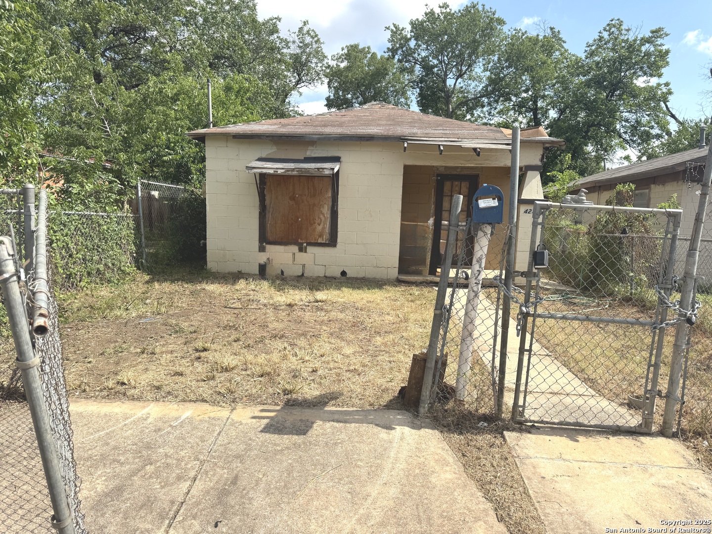 423 Hazel — photo