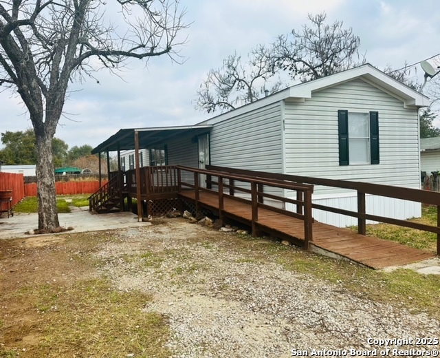 310 Duck — photo