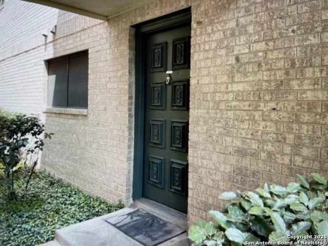11843 Braesview 2007 — photo