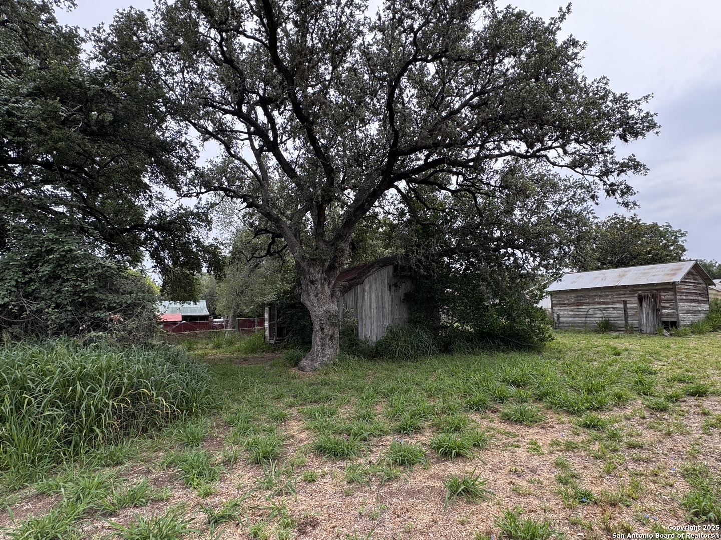 212 Patrick, Pleasanton, TX 78064 — photo 3