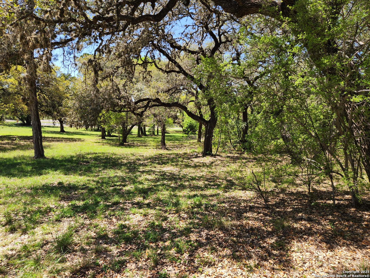 19225 scenic Loop, Helotes, TX 78023 — photo 2
