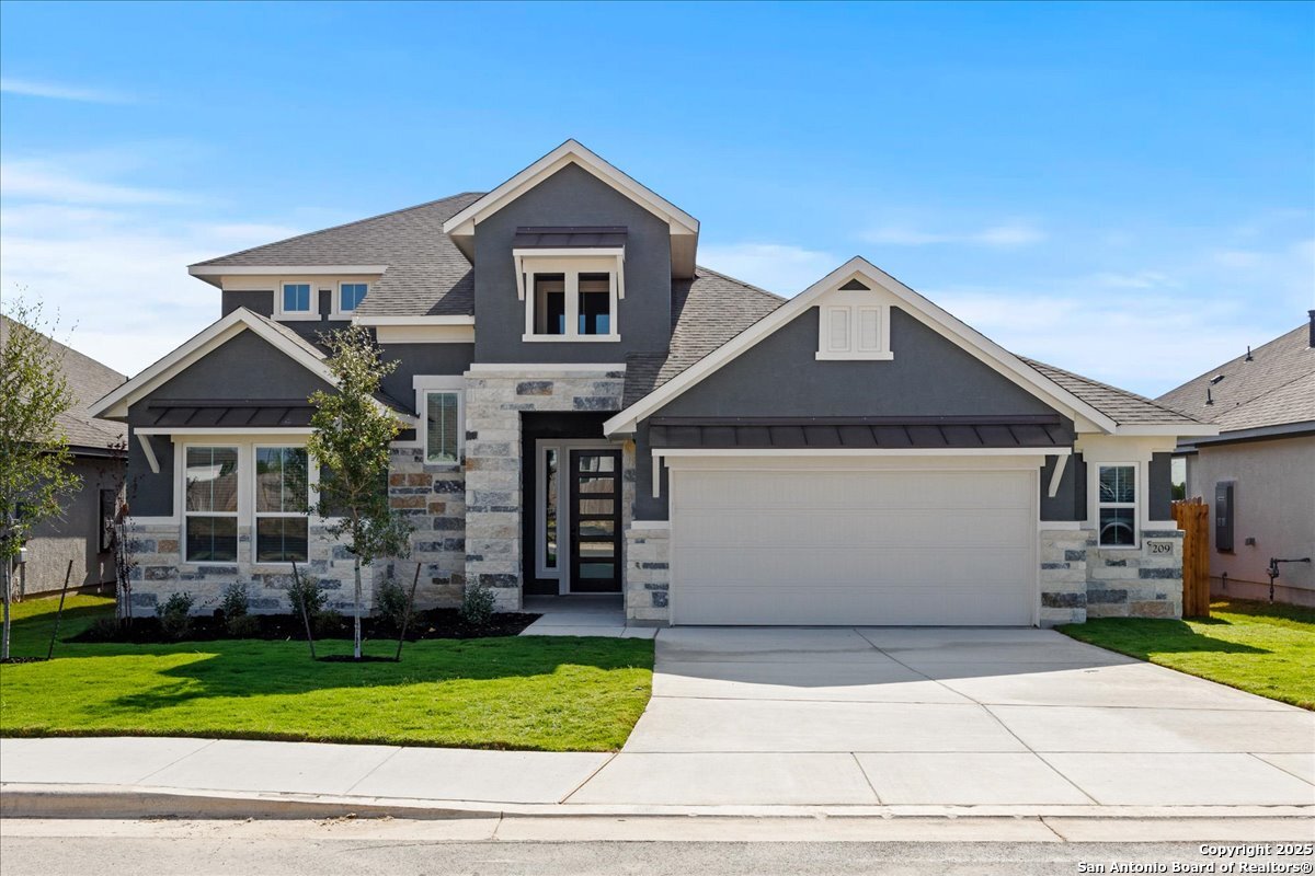 209 Sawtooth Oak — photo