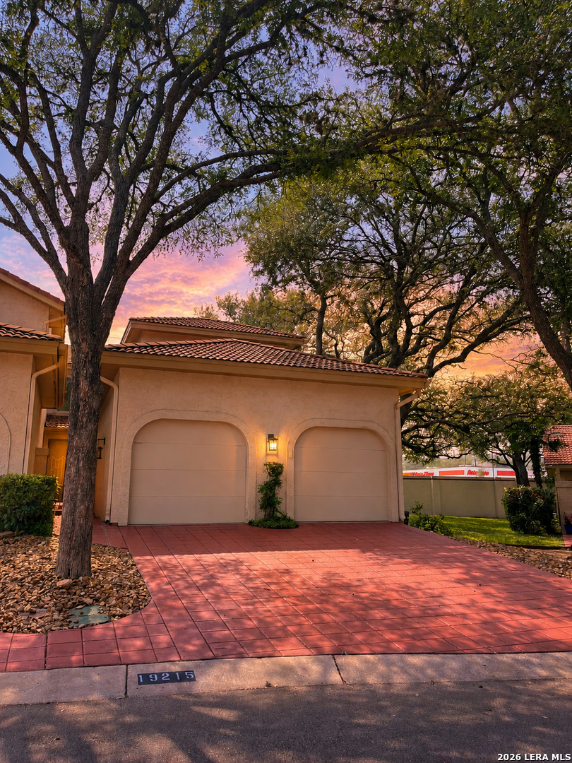 19215 Tanoan — photo