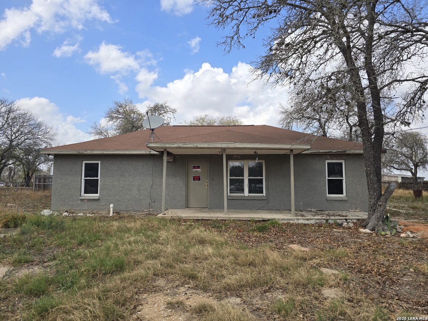 22903 Sweet Liberty — photo