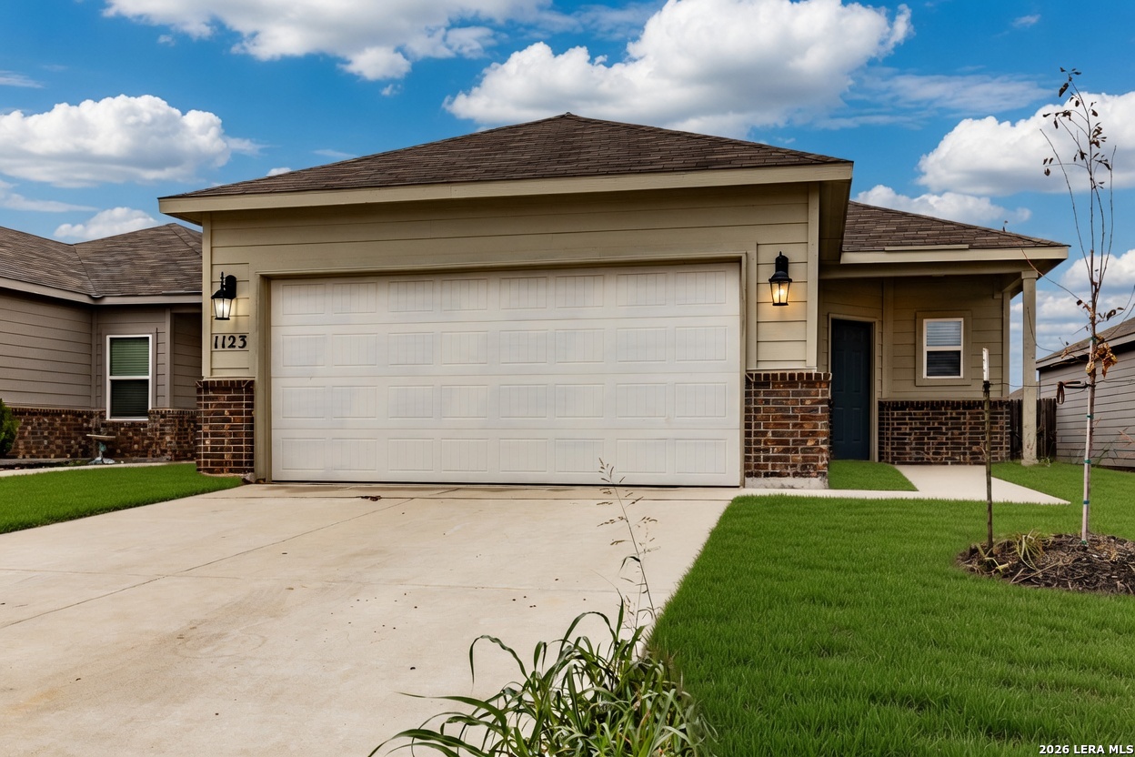 1123 Thea CV — photo