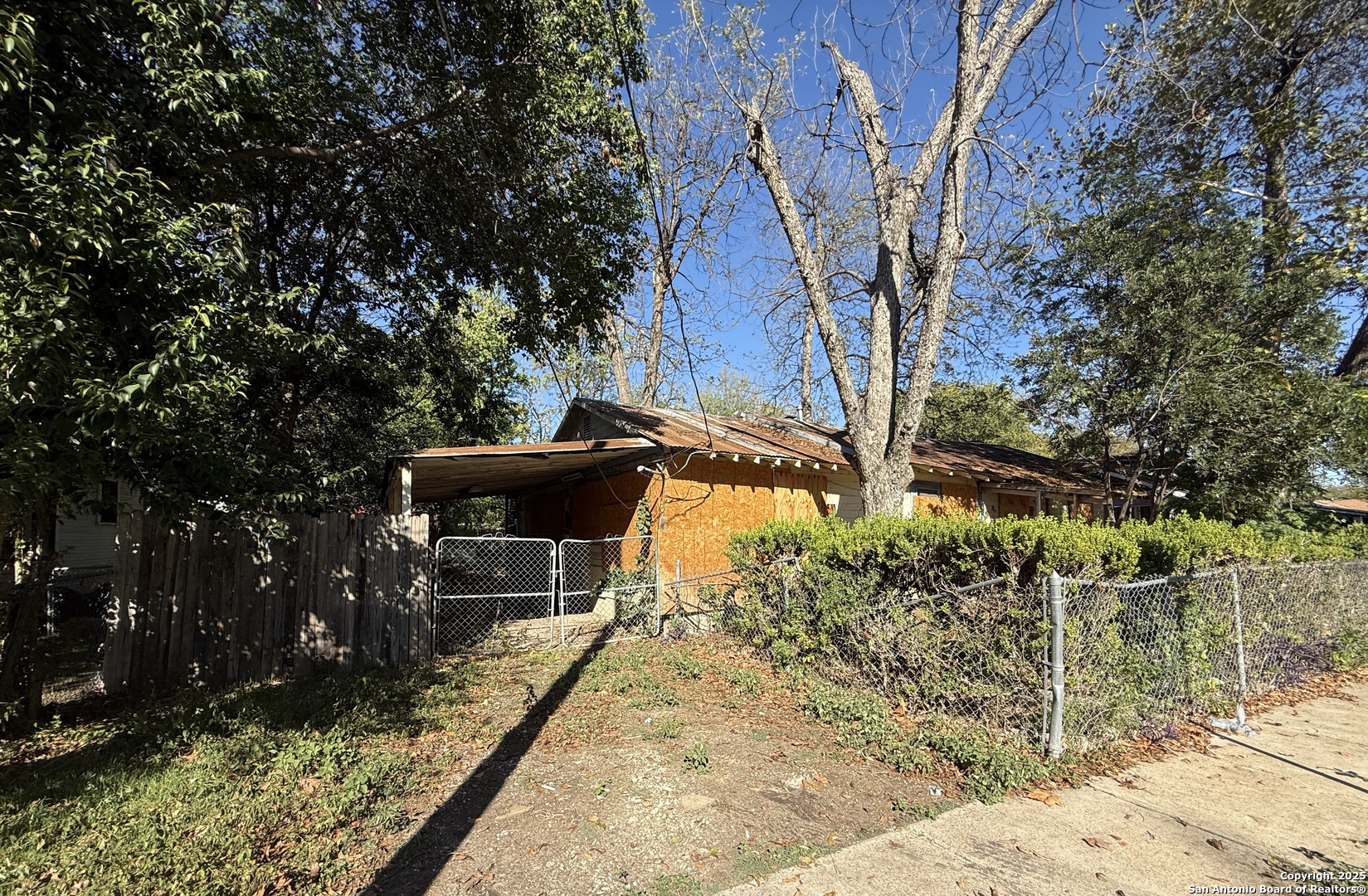 1033 Saldana — photo