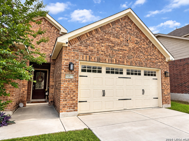 10811 Yaupon Holly — photo