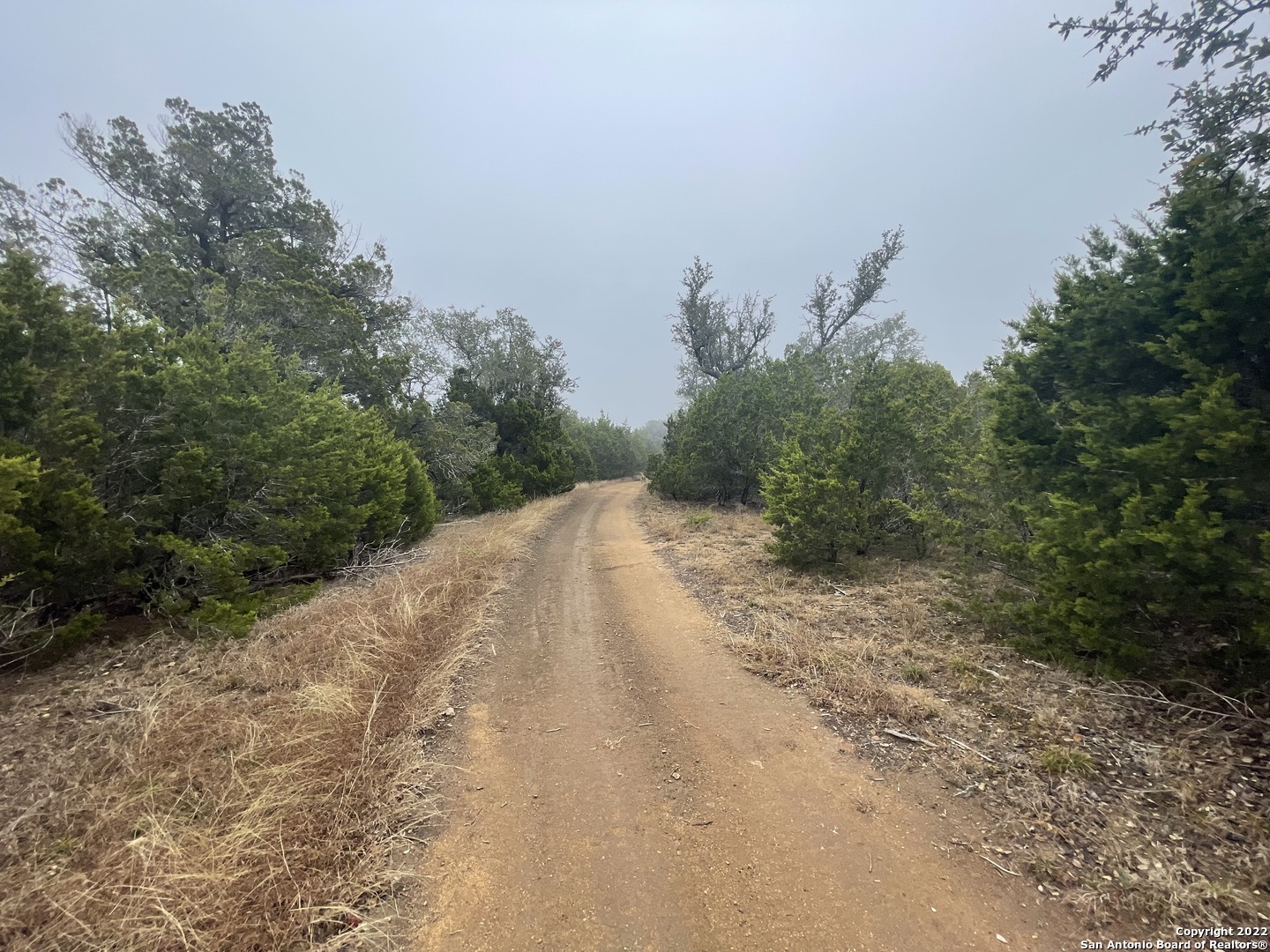 0 E Ammann Road, Bulverde, TX 78163 — photo 3