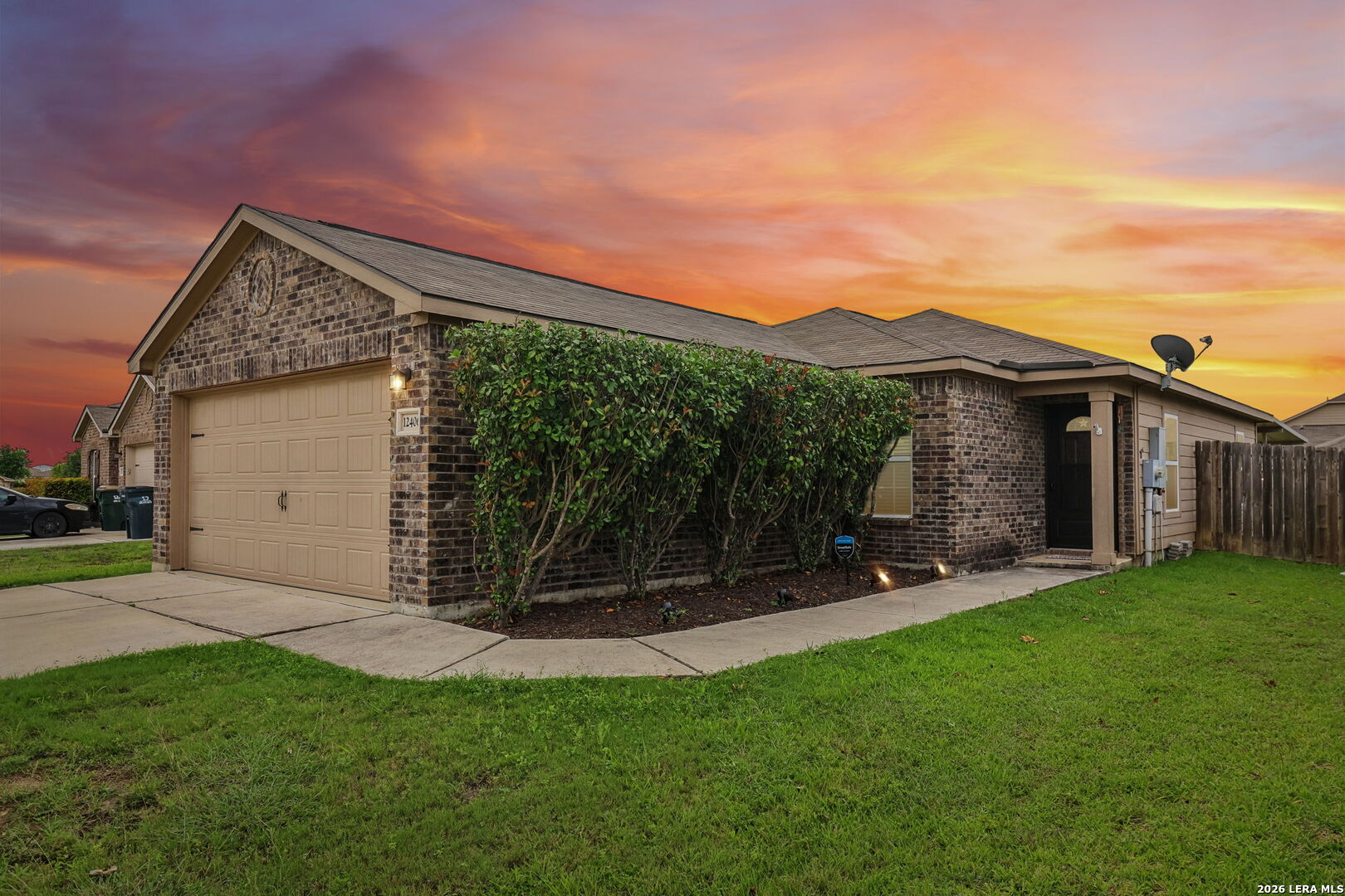 12406 Switchgrass — photo