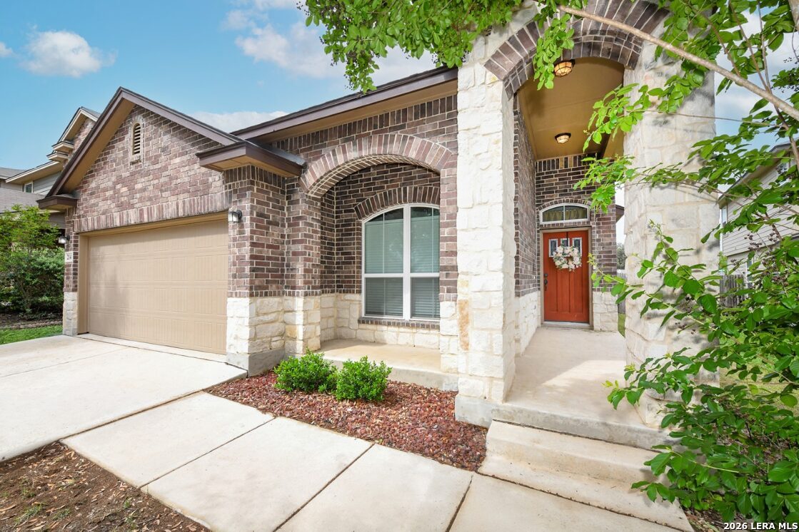 214 Cita Roost — photo