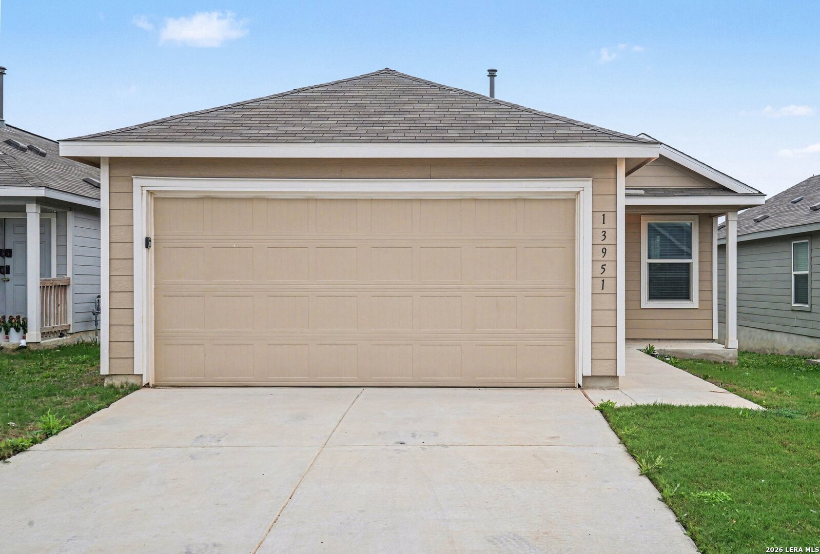13951 Bull CV — photo