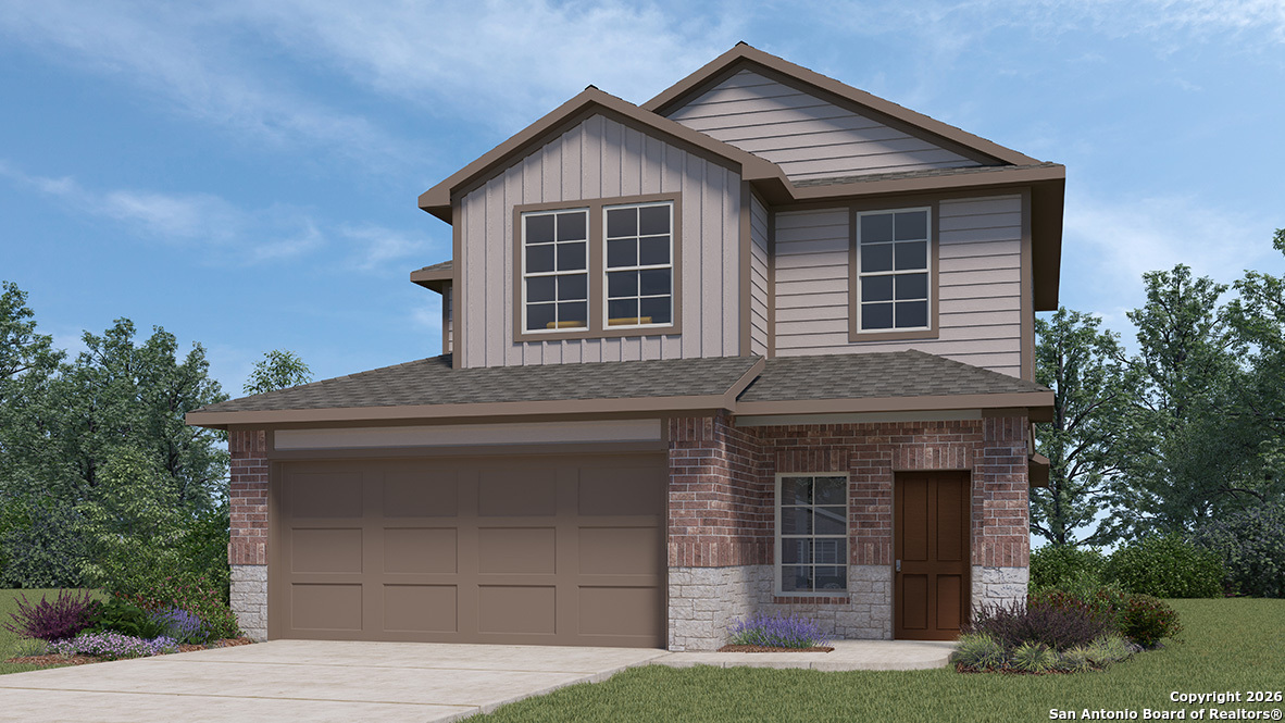 260 Violet Sylph — photo