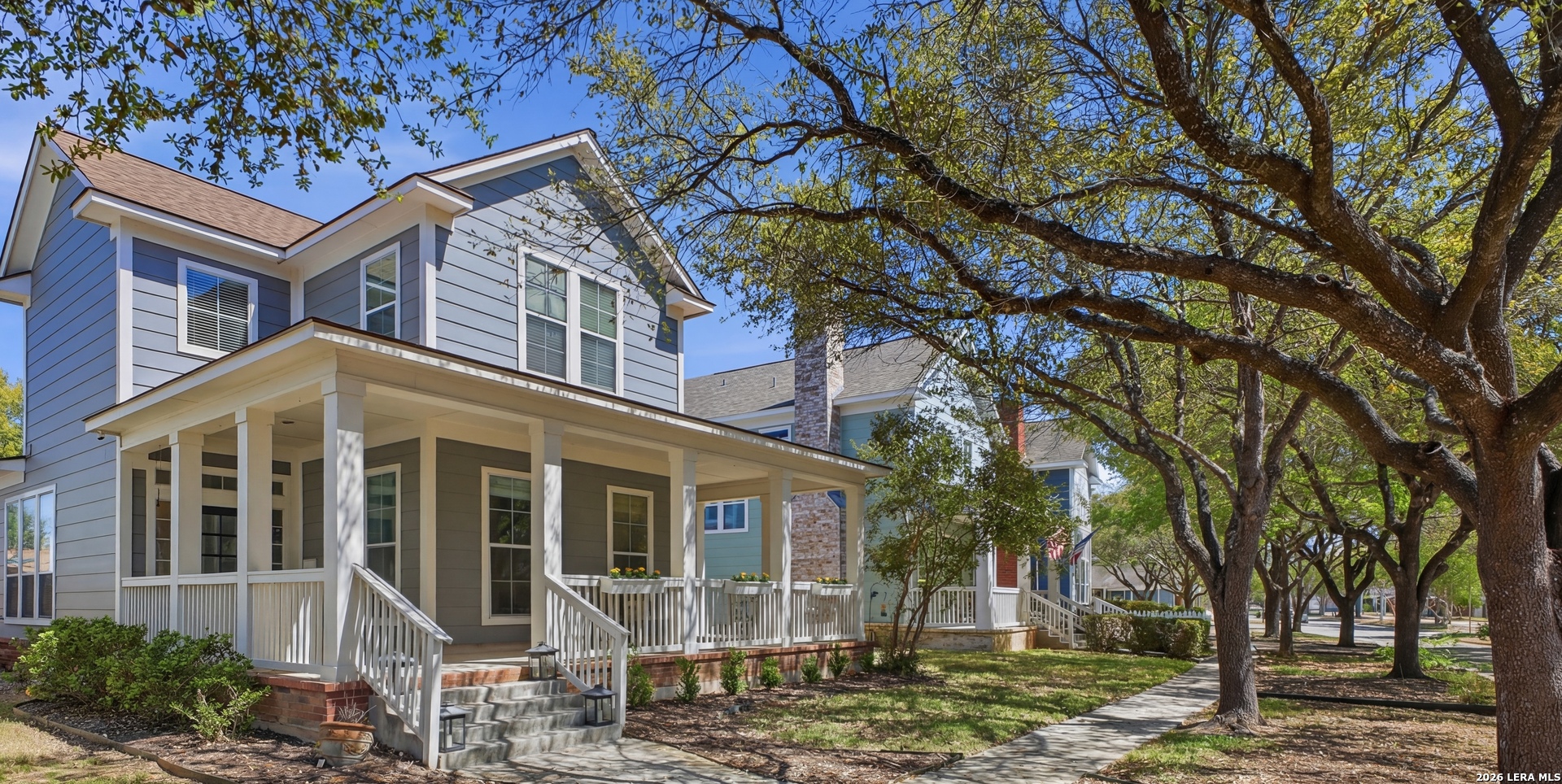 2224 Cotton — photo