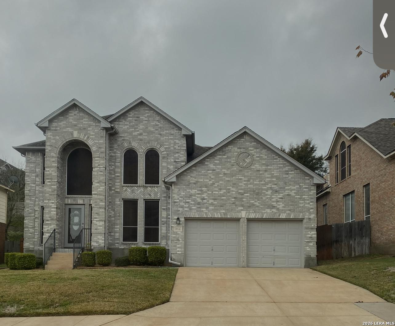 19531 Azure Oak — photo
