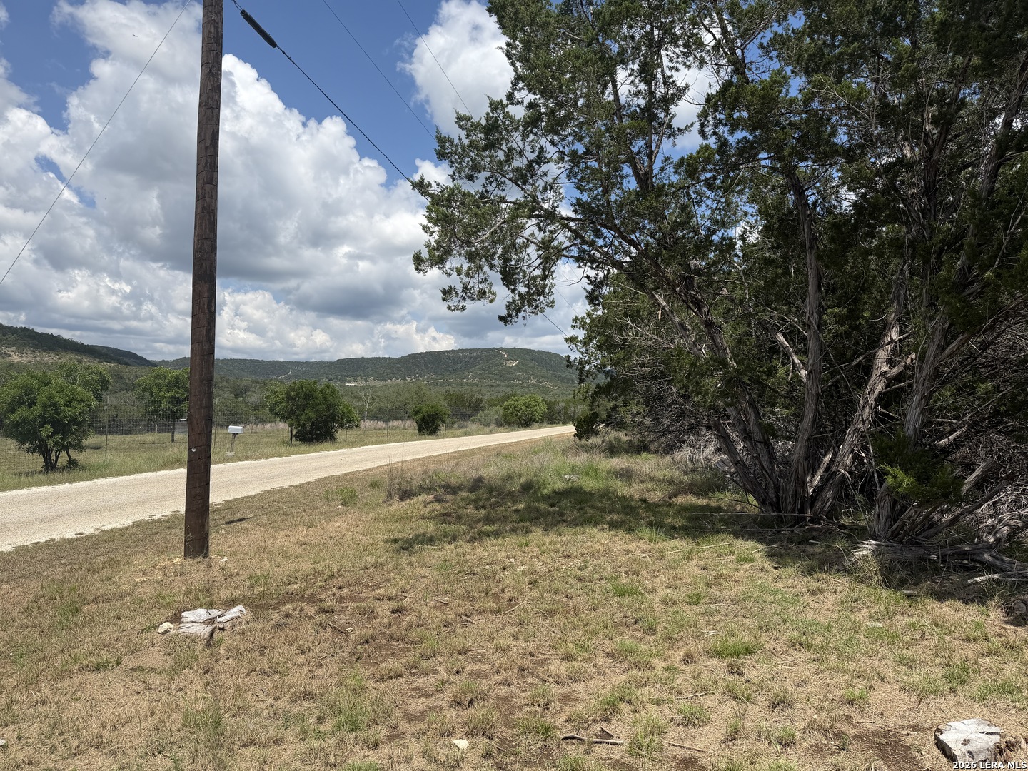 343 Live Oak — photo