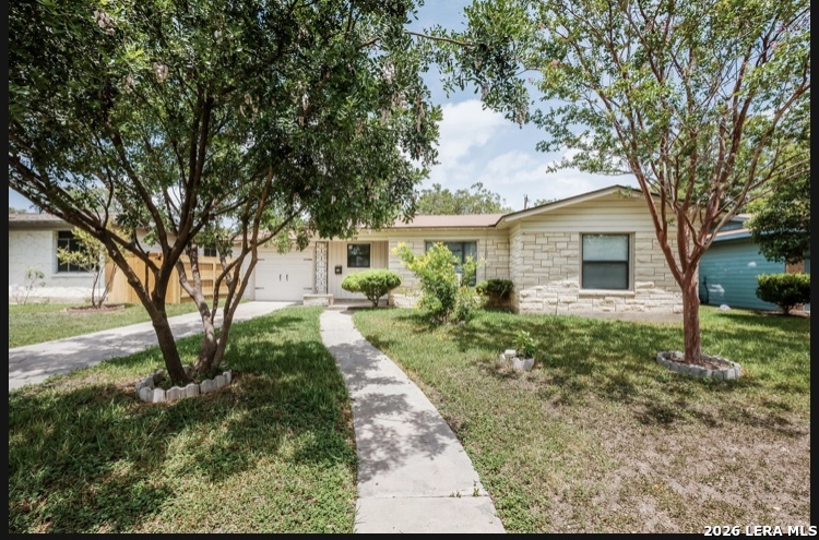 319 Mink — photo