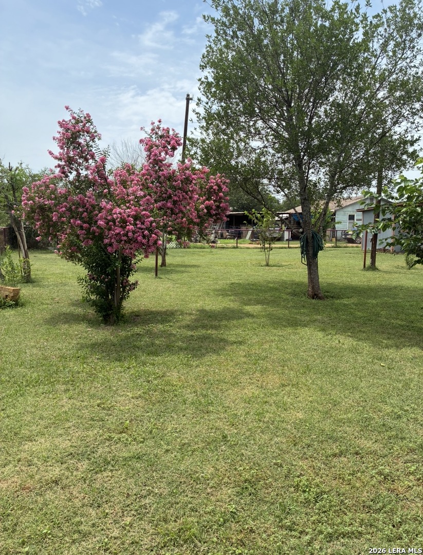323 E White Street, Dilley, TX 78017 — photo 3