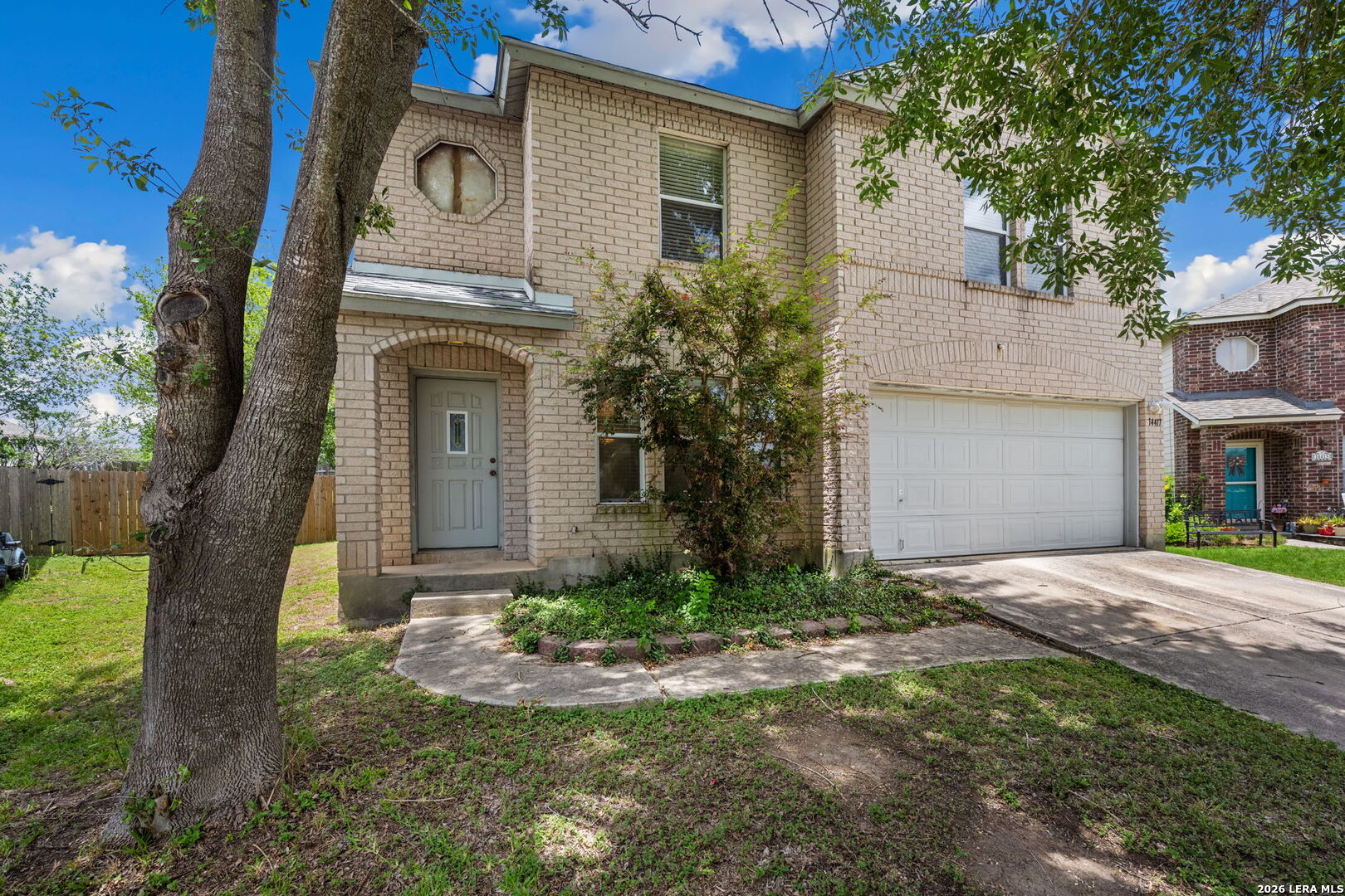 14411 Longleaf Palm — photo