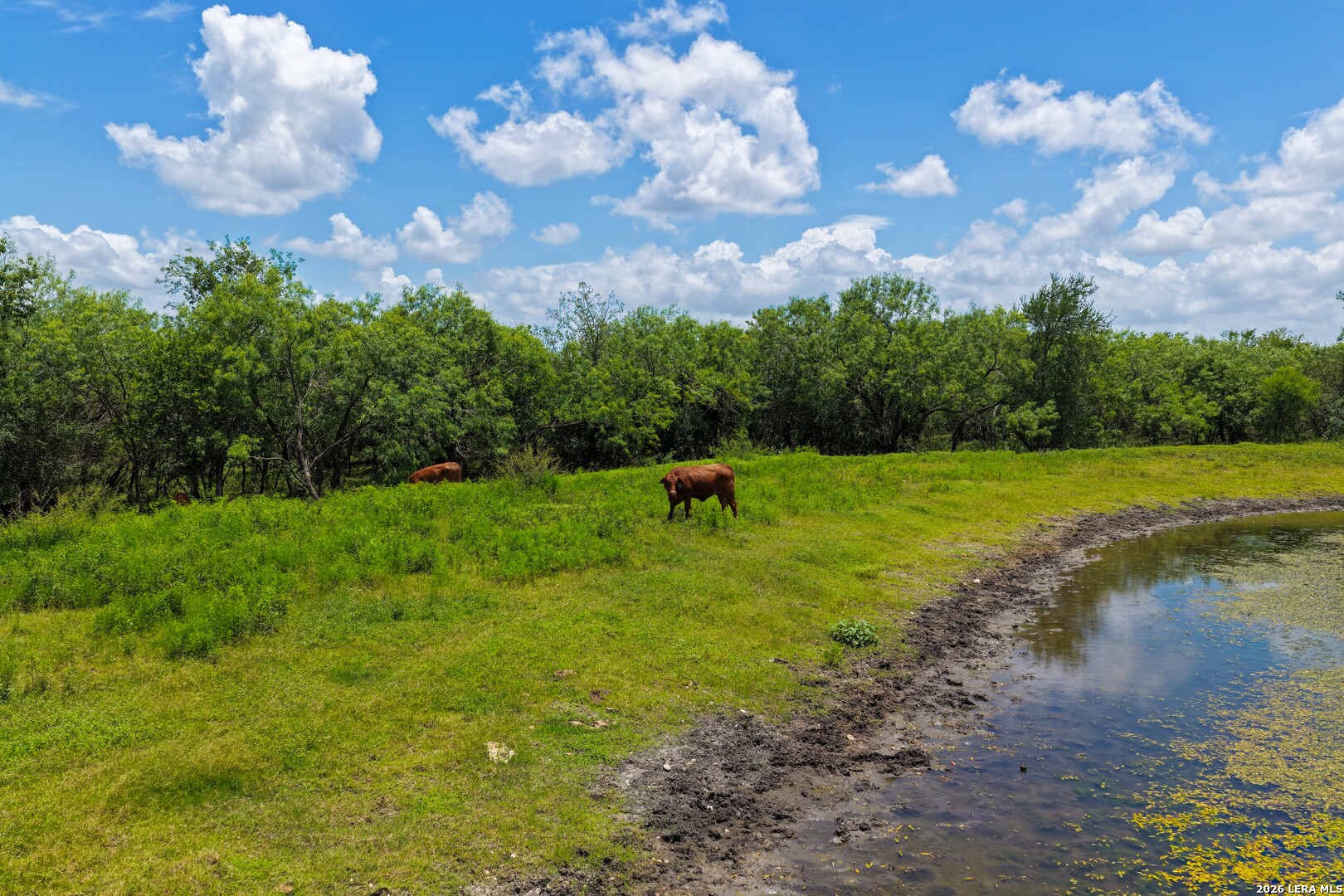 2249 Long Road, Lockhart, TX 78644 — photo 3