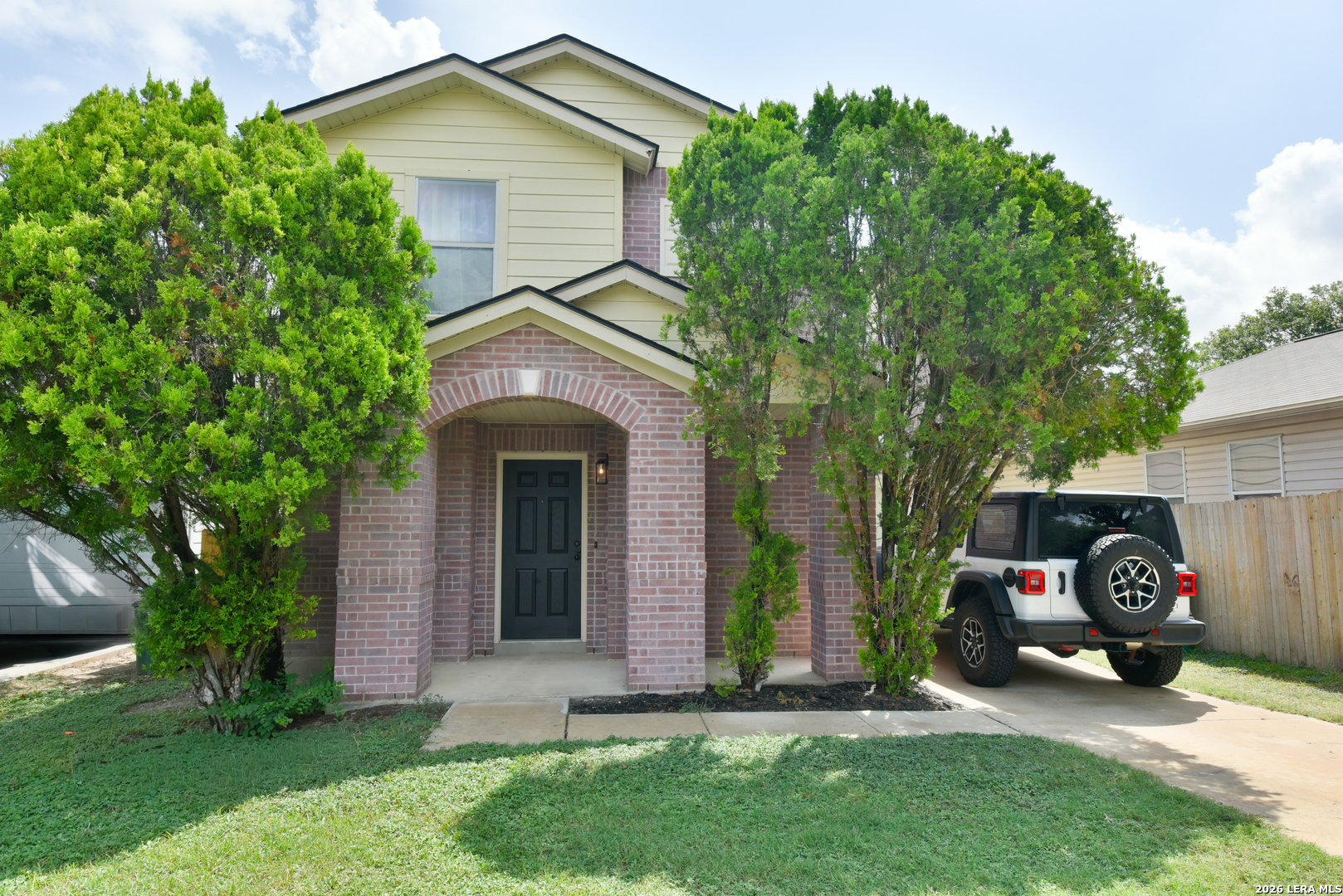 2323 Boxer Palm — photo