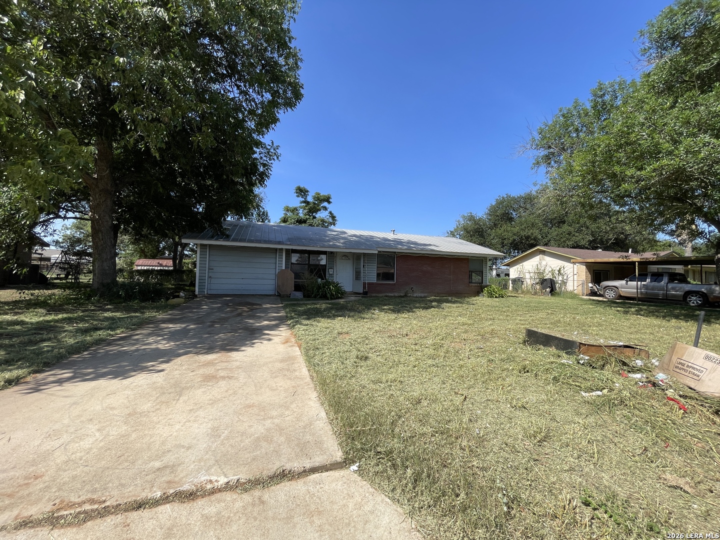 515 Margo — photo
