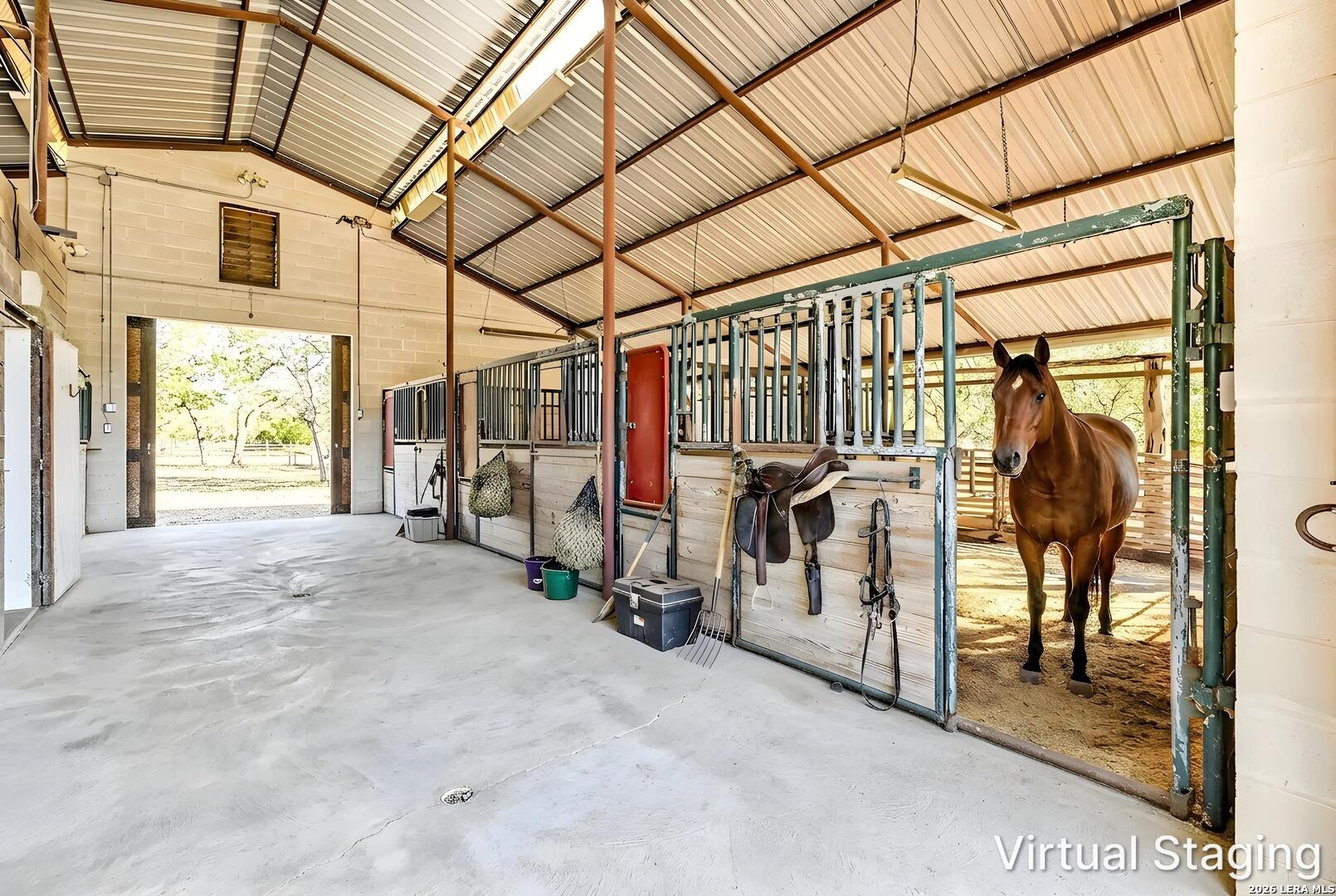5261 W Ammann Road, Bulverde, TX 78163 — photo 3