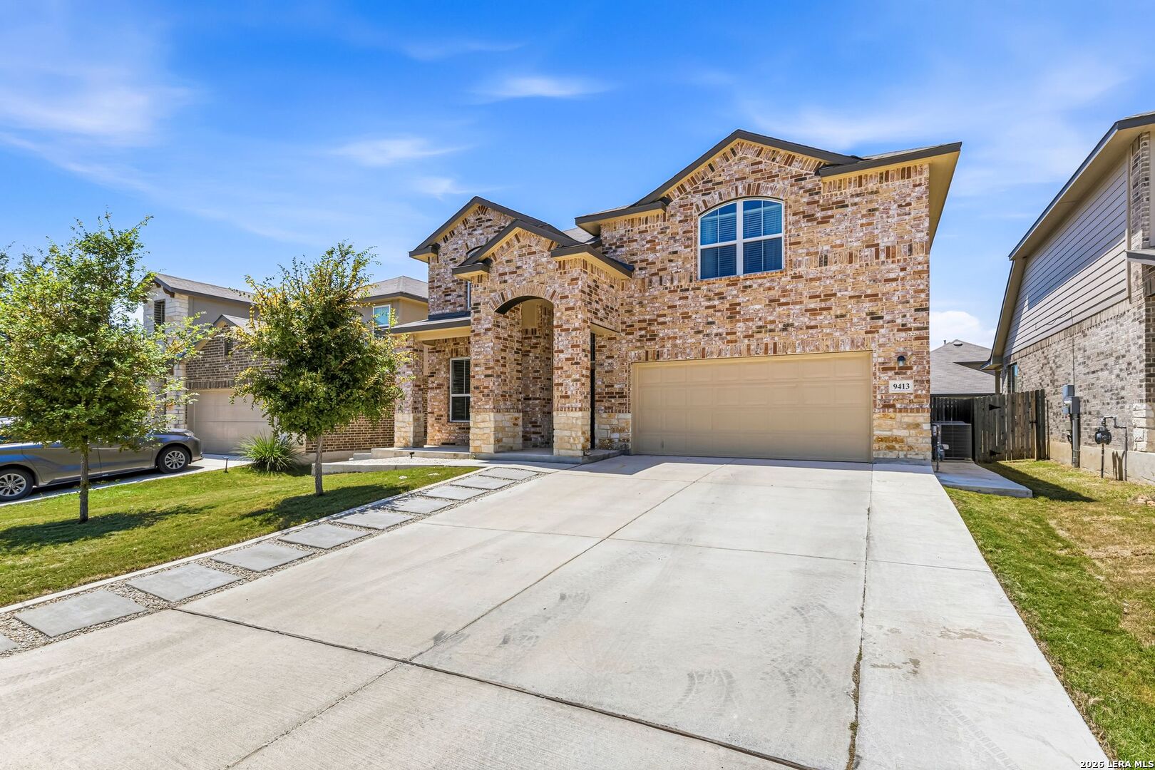 9413 Bicknell Sedge — photo