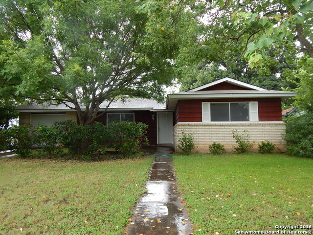 4103 Tropical — photo