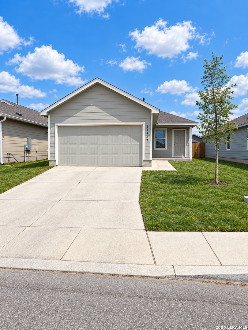 11787 Field Briar — photo