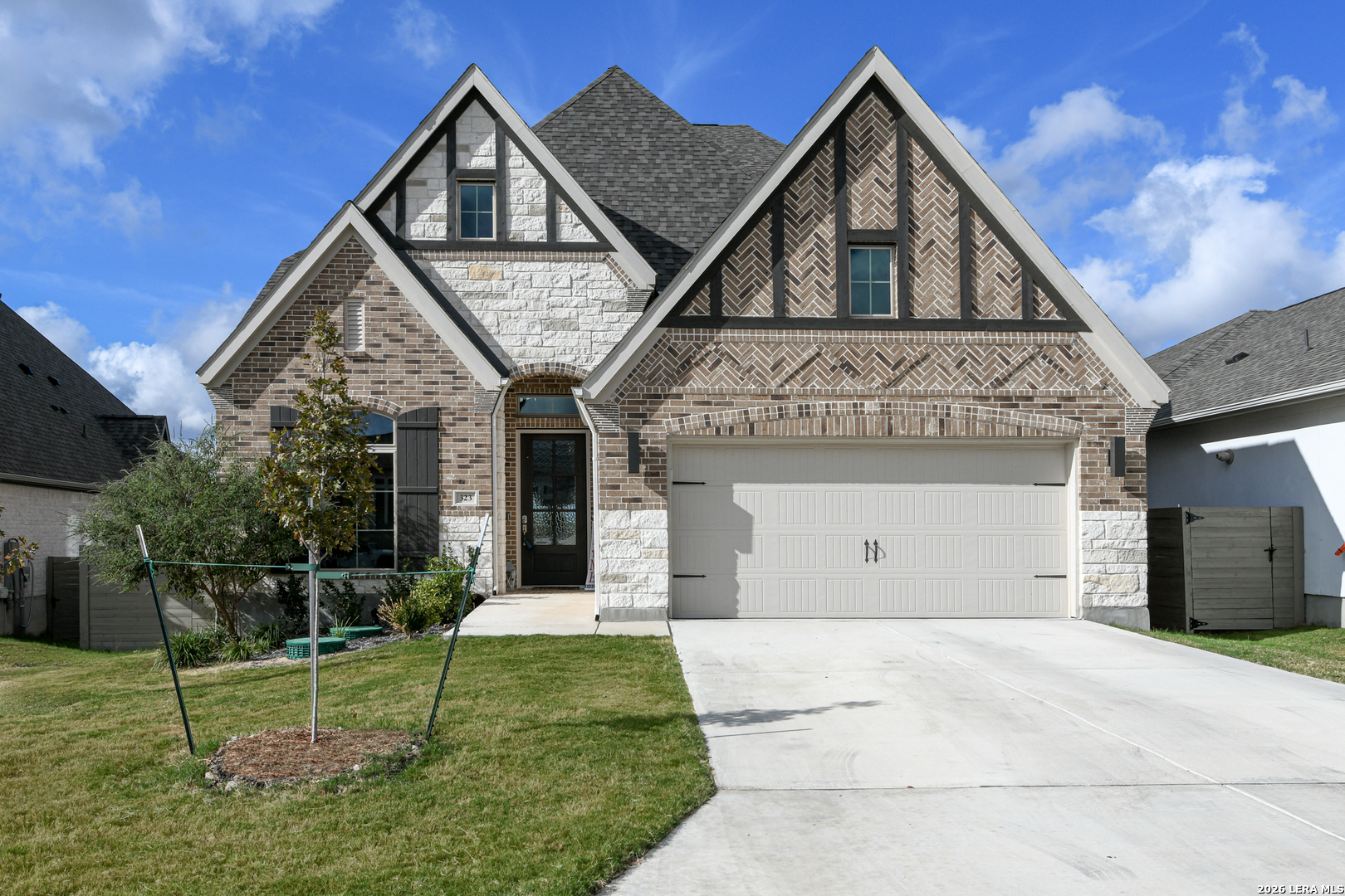 323 Sugarcane — photo