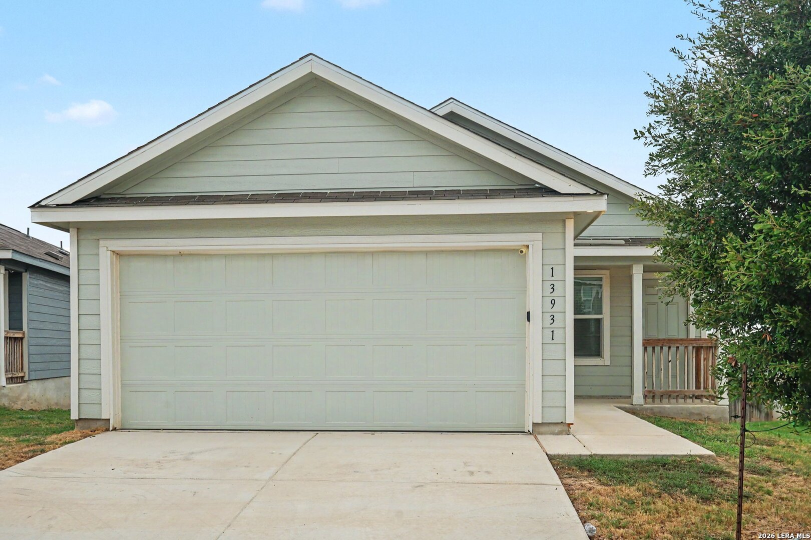 13931 Bull CV — photo