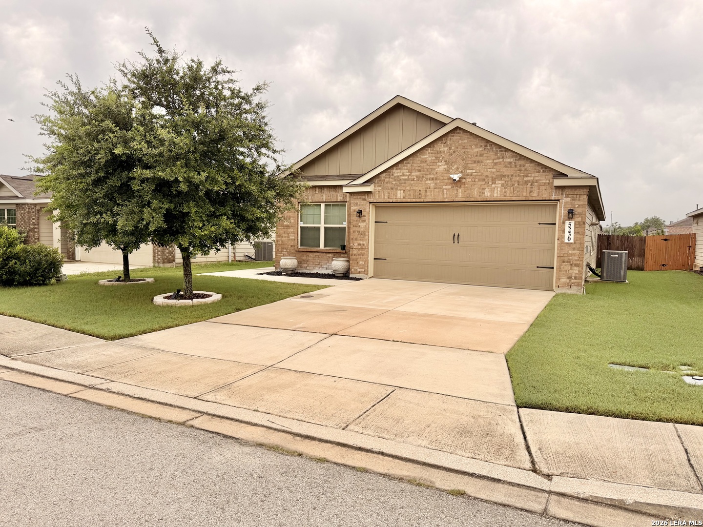 5230 Blue Ivy — photo