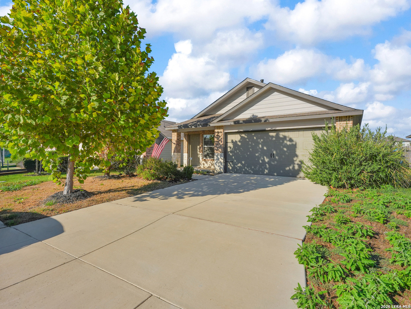 15515 Cardamom CV — photo
