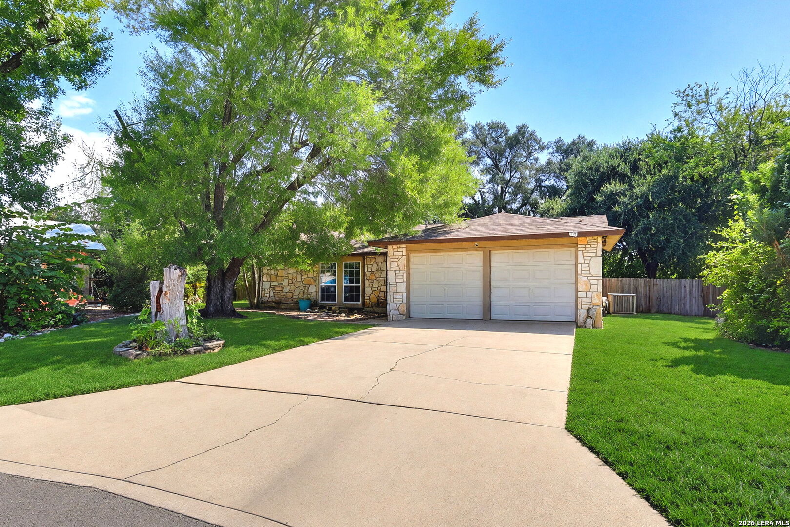8006 Tokay — photo