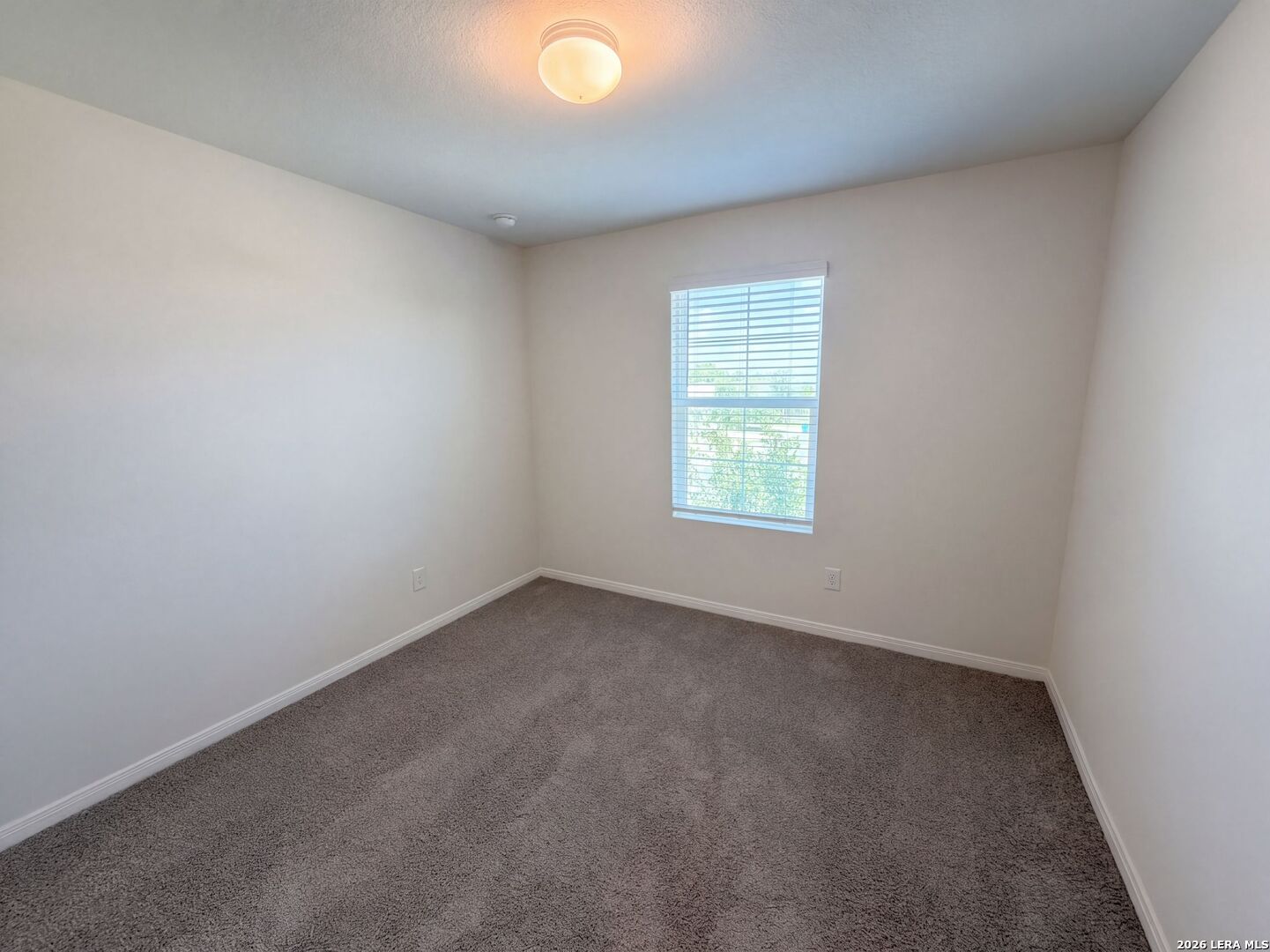 817 Margay Loop, Seguin, TX 78155 — photo 3