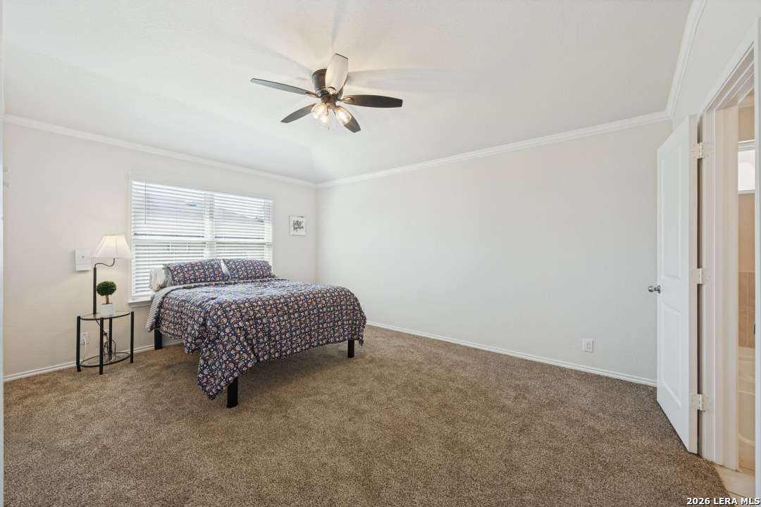 6602 Beech Trail, Converse, TX 78109 — photo 3