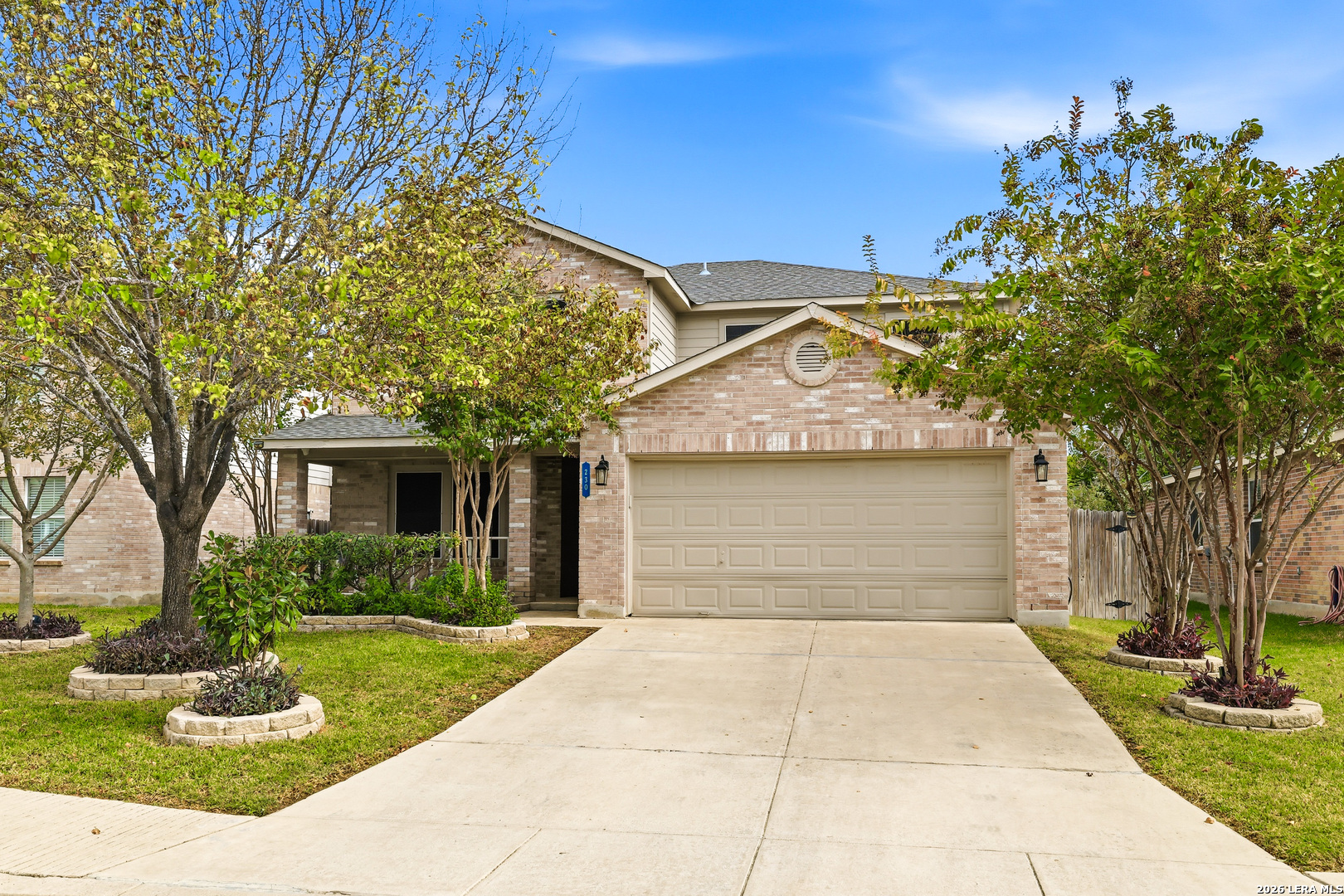 230 Blue Juniper — photo