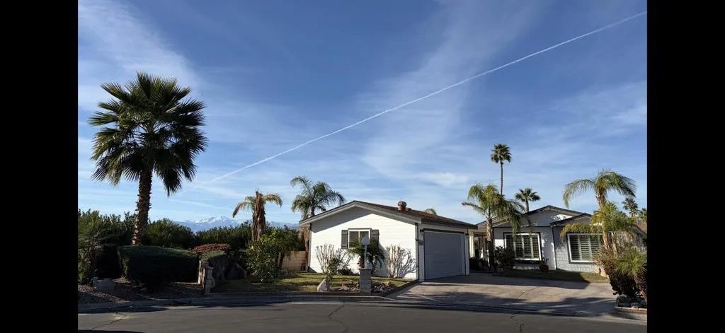 74626 Mexicali Rose — photo