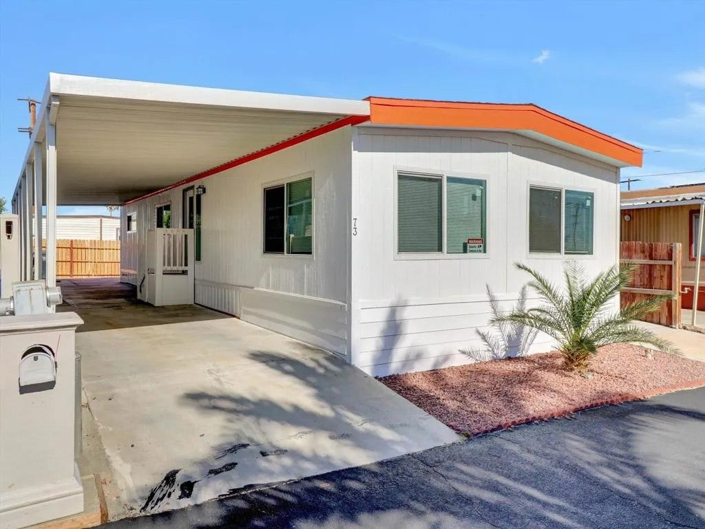 15687 Palm 73 — photo