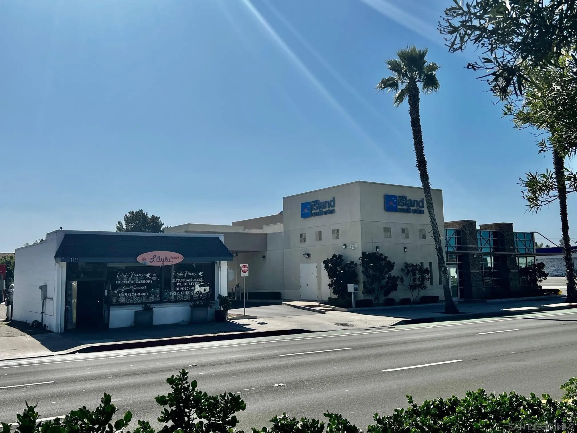 1115 Palm — photo