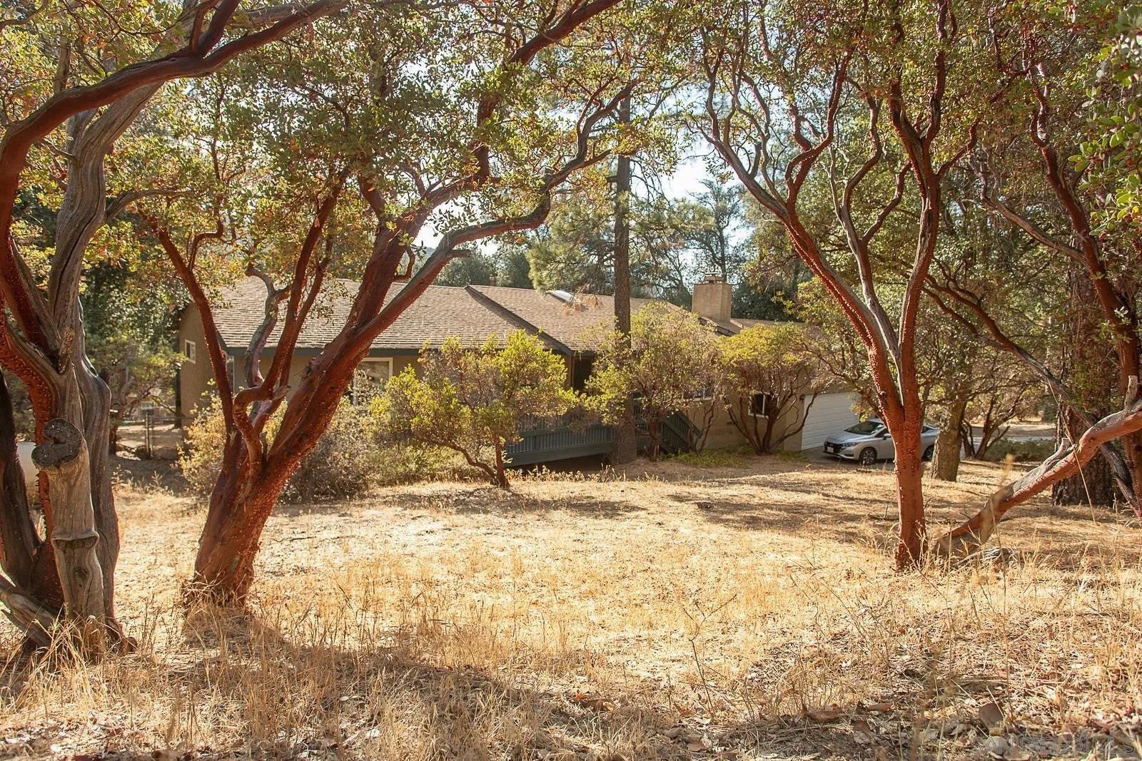 8076 Pine Blvd — photo