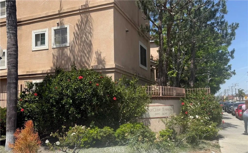 14053 Lemoli — photo