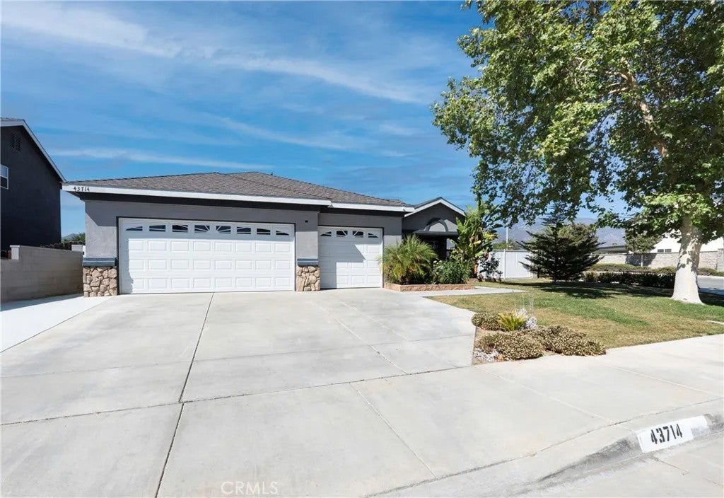 43714 Amazon — photo