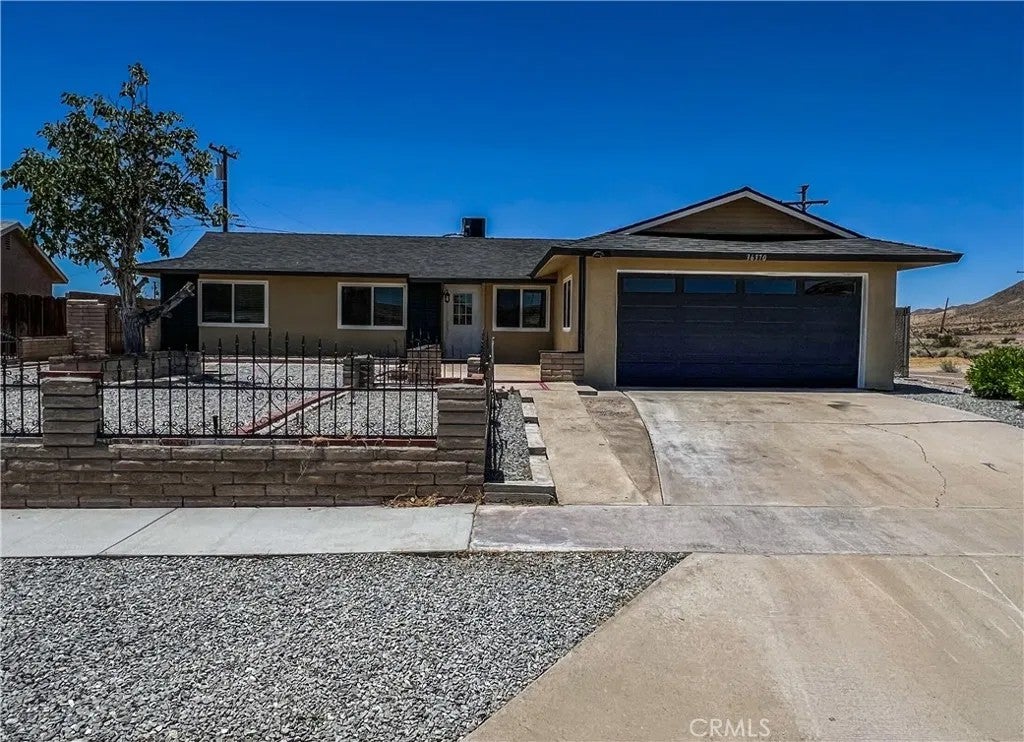 36370 Fern — photo