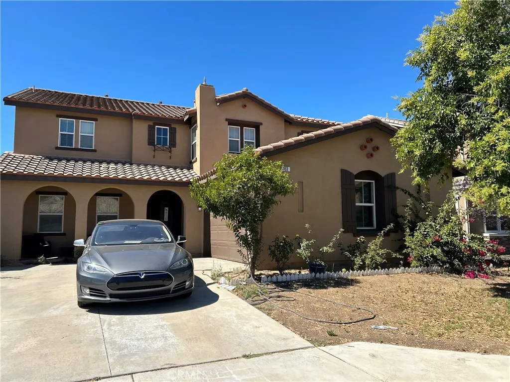 953 Curlew — photo