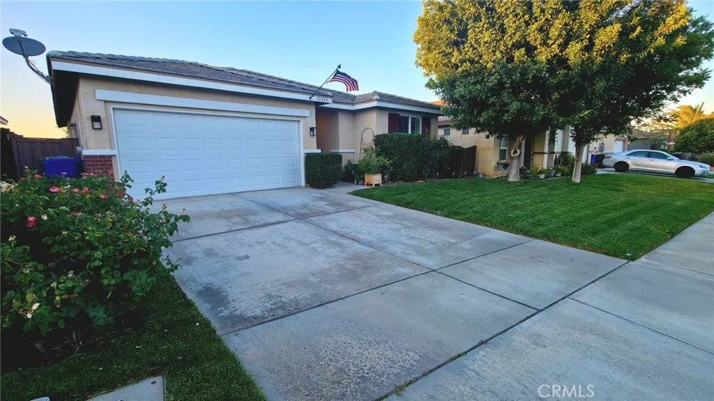 12324 Firefly — photo