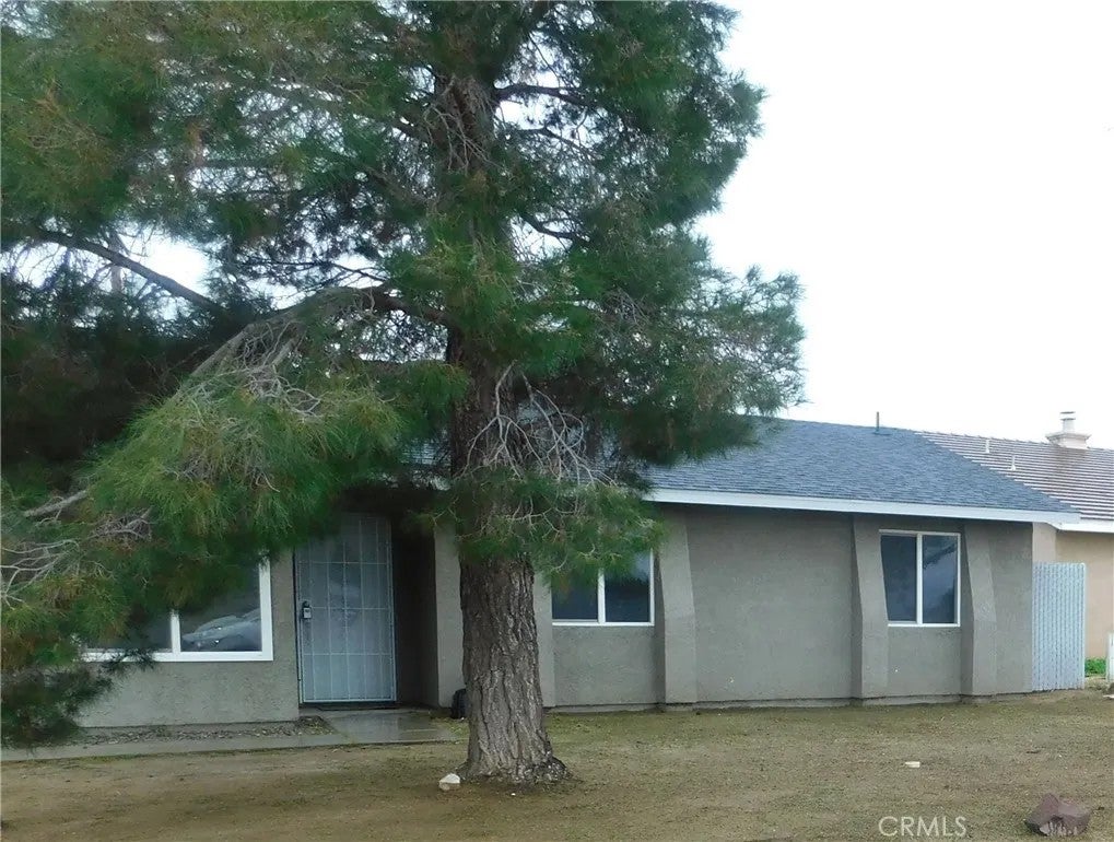 8260 Viburnum — photo