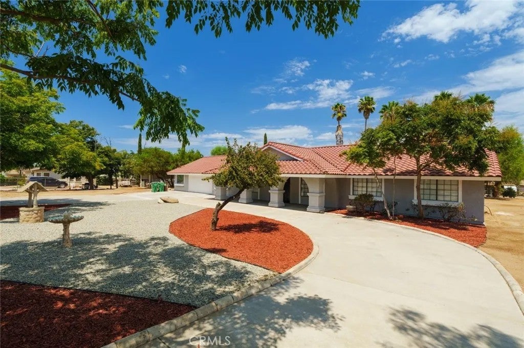 20150 Myron — photo