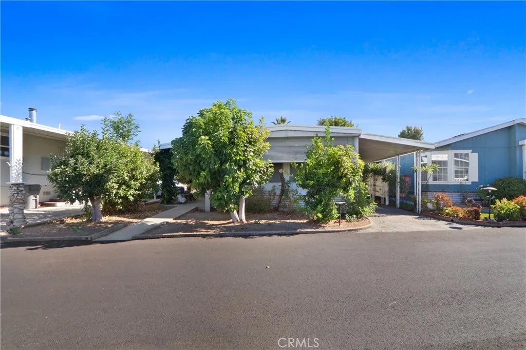 3530 Damien 158 — photo